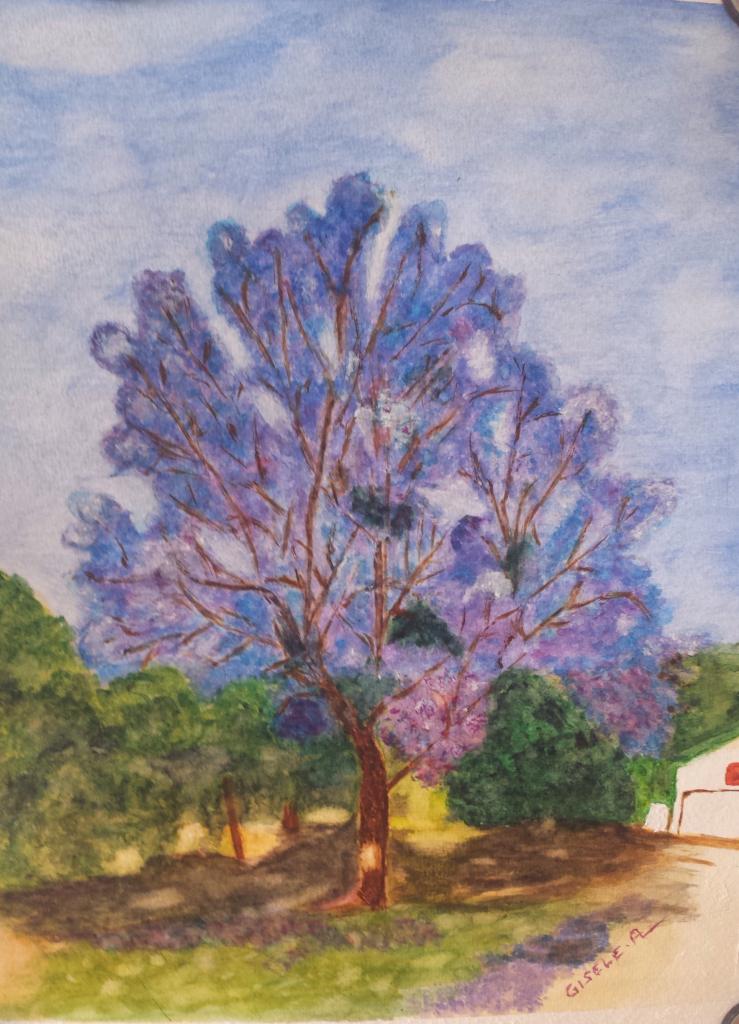 Jacaranda