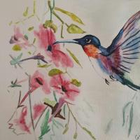 Colibri